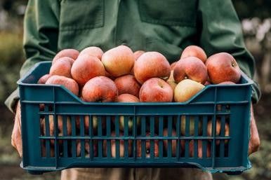 Yellow 550t Servo Motor Injection Molding Machine For Plastic Crate